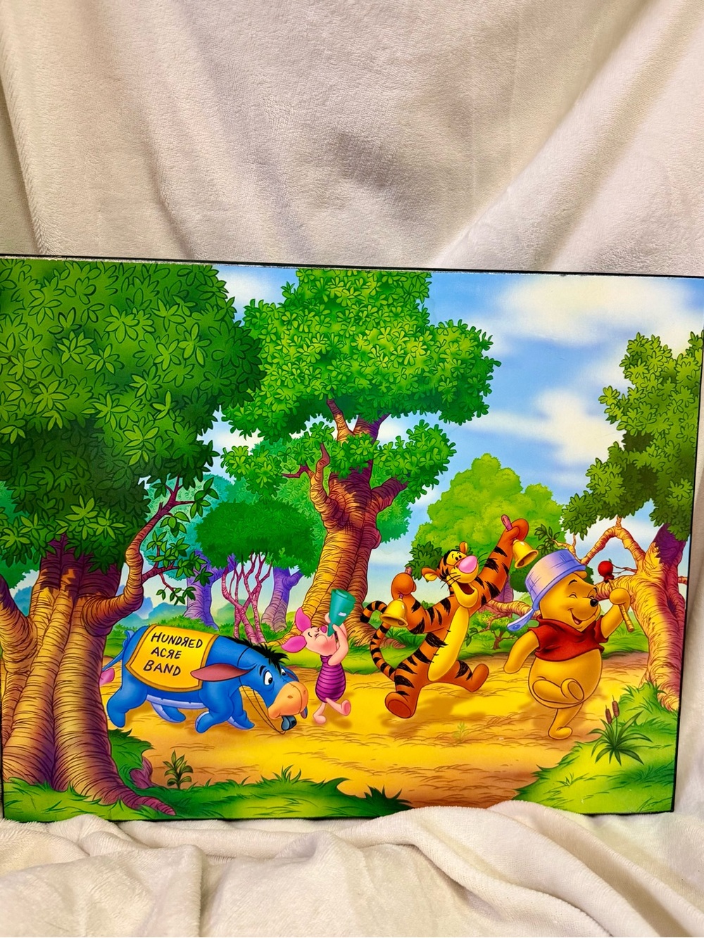 Disney Winnie the Pooh Hundred Acre Band Wall Art Wooden Canvas all around